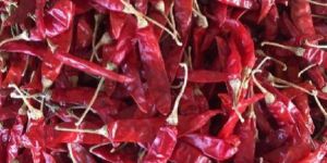 Dried Red Chilli