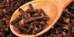 Cloves
