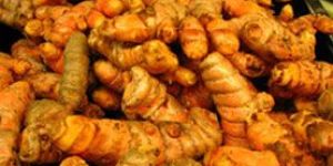 Turmeric