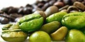 Green Coffee Bean Extract