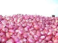 Bellary Onion