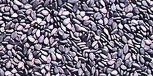Black Sesame Seeds