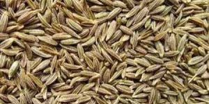 Cumin Seeds