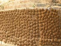 Cow Dung