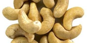Dried Cashew Nuts