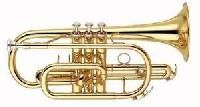 Cornet