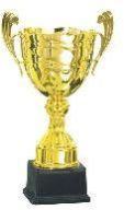 Sports Cups