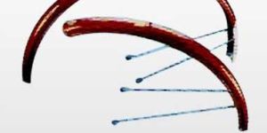 Philips Type Bicycle Mudguard