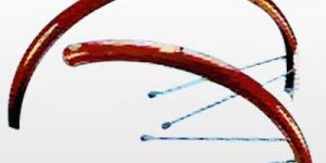 SLR Bicycle Mudguard