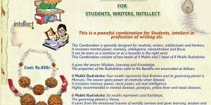 Power Combination Rudraksha