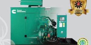 Diesel Generator Engine