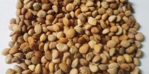 Herbal Ayurvedic Seeds