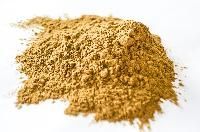 Shatavari Extract Dry Powder