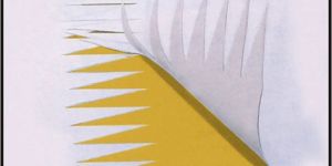 POLYSTER WEB CONVEYOR BELT