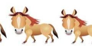 Size & Seriation - Horse