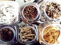 Herbal Medicine- 01