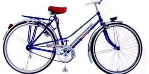 FRENCH TYPE LADY CURVE BAR