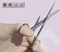 Umbilical Cord Scissors