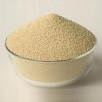 Soybean Powder