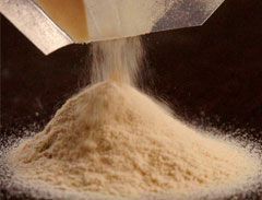 Dried Malt Extract Powder