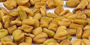 Fenugreek Seeds