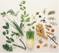 Indian Culinary Herbs