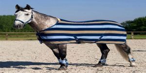Horse Rugs