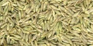 Cumin Seeds