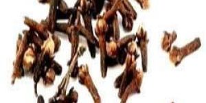 Clove Oleoresin 12.5-50%