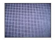 Knitted Cotton Velour 80/20 Small Check