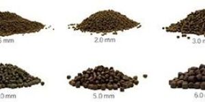 Fish Feed