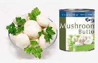 Canned Mushroom