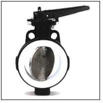 PTFE Lined Butterfly Valve