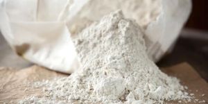 Diatomaceous Earth Powder