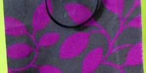 Printed Paper Carry Bags