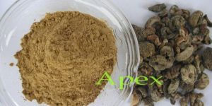 Amla Dry Fruit