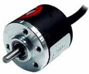 E30s Series Rotary Pumps