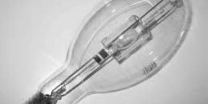 Metal Halide Bulbs