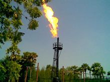 Flare Systems