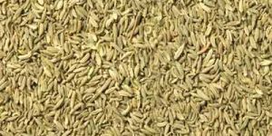 Cumin Seeds