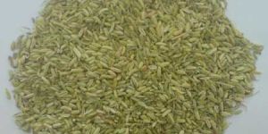 Fennel Seeds