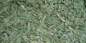 Senna Leaves