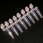 Microcentrifuge Tubes