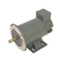 Permanent Magnet DC Motors