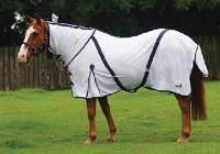 Horse Clothing