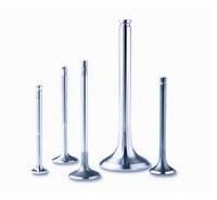 Stainless Steel Engine Valve