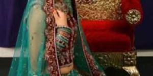 Silk Embroidered Lehenga Choli