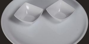 Plastic Dinner Plate - (04)