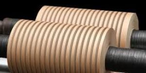 Insulated Copper Conductors