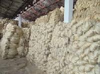 Jute Fiber